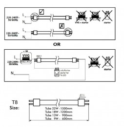 LED MAX 18W T8 Röhren Glas 120cm - 130lm/Lm