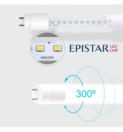 LED MAX 22W T8 Röhren Glas 150cm - 130lm/Lm