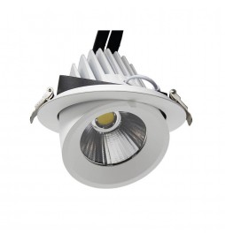 LED Strahler Einbau schwenkbar 25W 24º - CCT - Wählbare Farbe