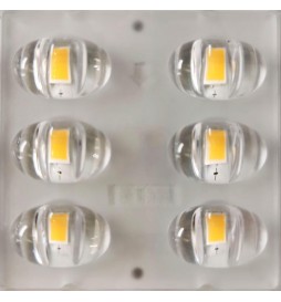 LED Straßenleuchte 65W CAPRI  Philips Driver Programmierbar SMD5050 240Lm/W
