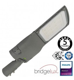 LED Straßenleuchte 65W CAPRI  Philips Driver Programmierbar SMD5050 240Lm/W