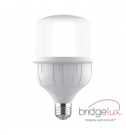LED Lampe 40W E27 High Strength
