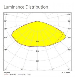 LED Straßenleuchte SOLAR 100W SUNWAY ILU10