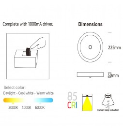 LED Deckenleuchte 20W  mit Bewegungsmelder - CCT