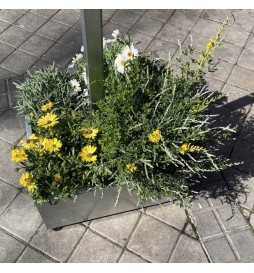 LED Straßenleuchte SOLAR 100W SUNWAY + Höhenverstellbarer tragbarer Ständer mit Rädern