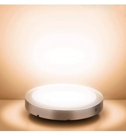 Kreisförmige Deckenfläche Silber Rahmen 15W LED - CCT