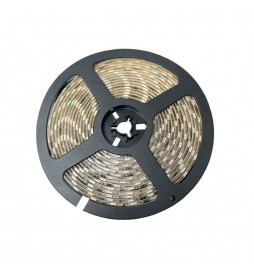 Pack 32W 24V SMART WiFi RGB+CCT LED-Streifen + Fernbedienung - Dimmbar - SMD5050