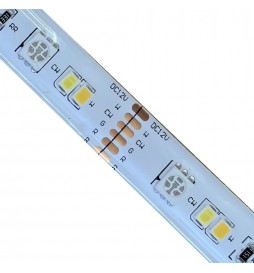 Tira LED 24W 12V SMART RGB+CCT - Regulable - SMD5050
