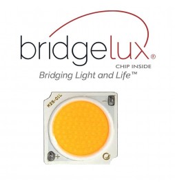LED Strahler Downlight  LED 6W Bridgelux Chip  -  40° - UGR11