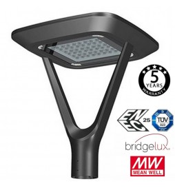 LED Straßenleuchte 10W - 60W TURIN MeanWell Driver Programmierbar SMD5050 240Lm/W