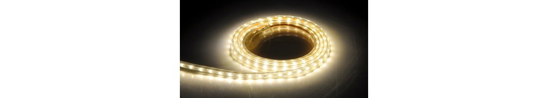 Kaufen LED Neon Flex 220V AC 